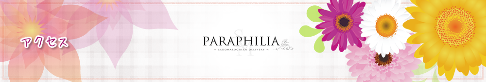 新宿女装サロン　パラフィリア　～アクセス～